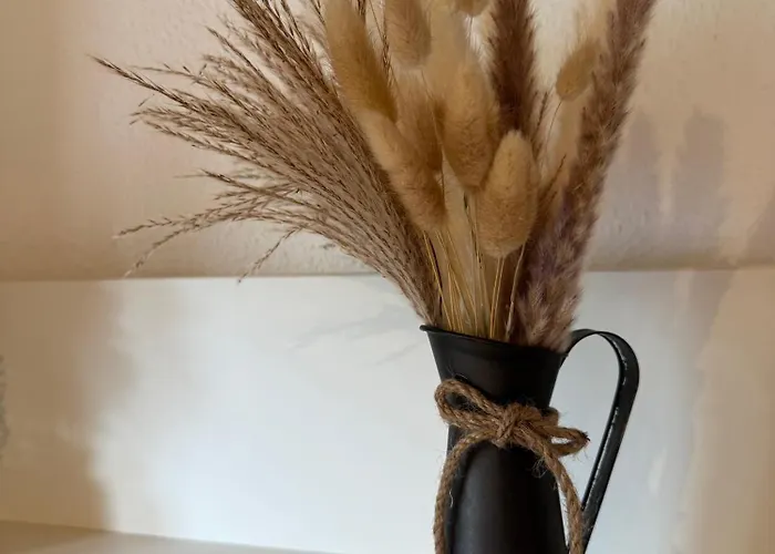 Knuellhotel Tann-eck Gasthuis Knüllwald